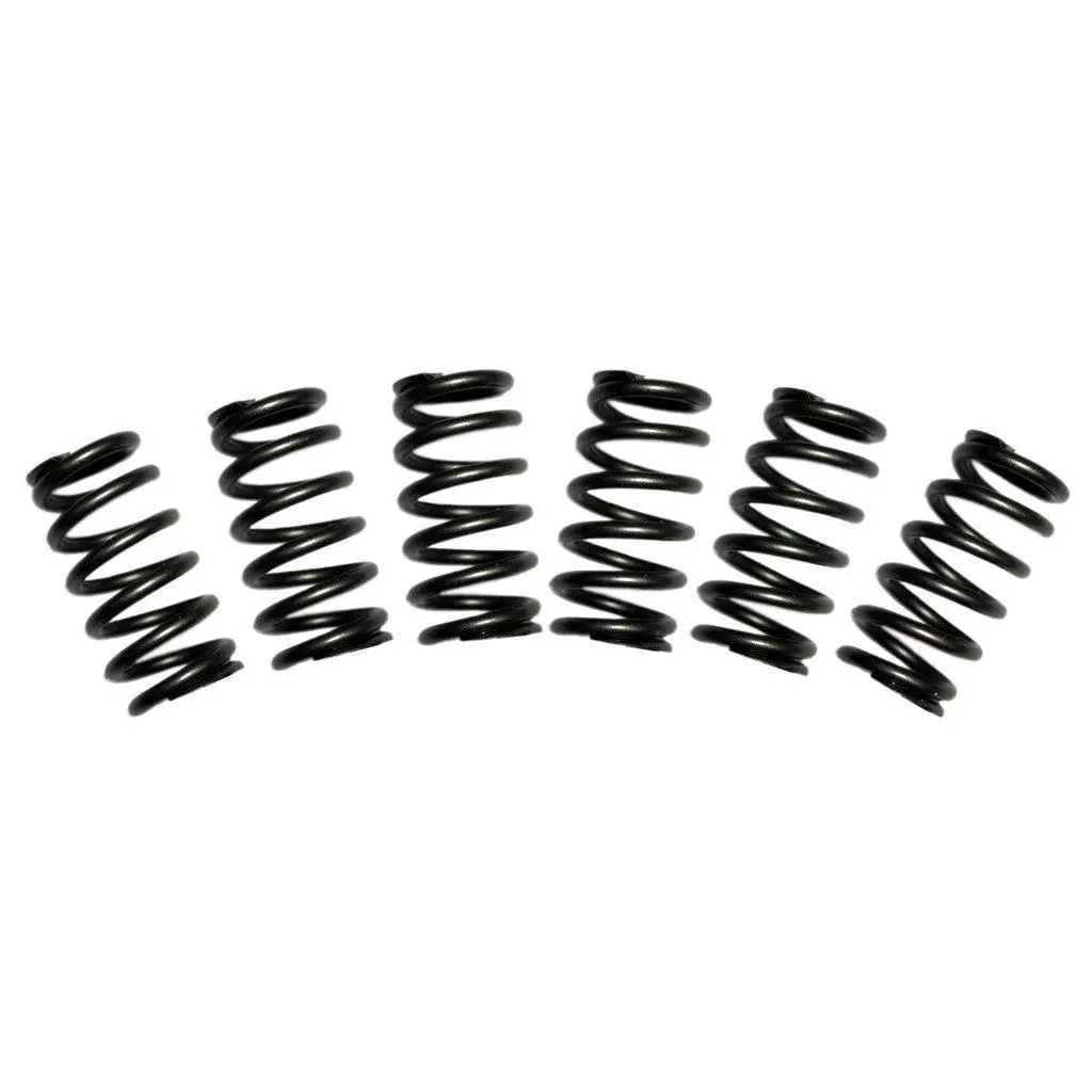 1988-1998 Cummins 60Lb Valve Spring Kit (1030060) 1