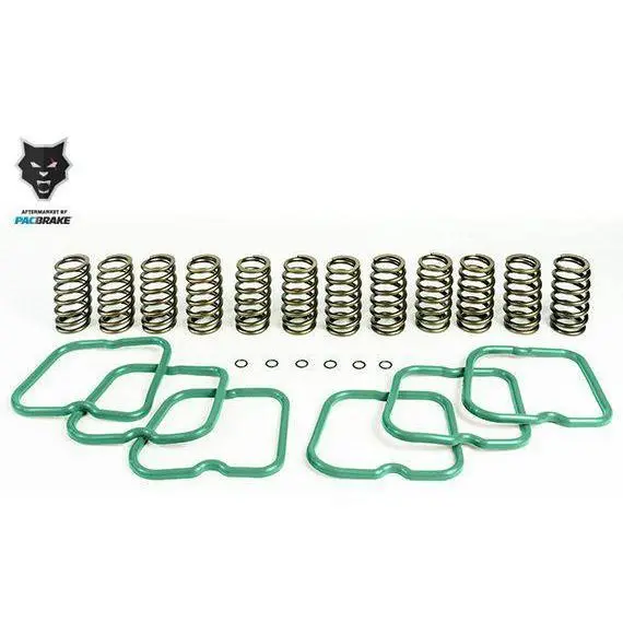 1994-1998 Cummins Basic Spring Kit W/ 12 Springs (Hp10240) 1