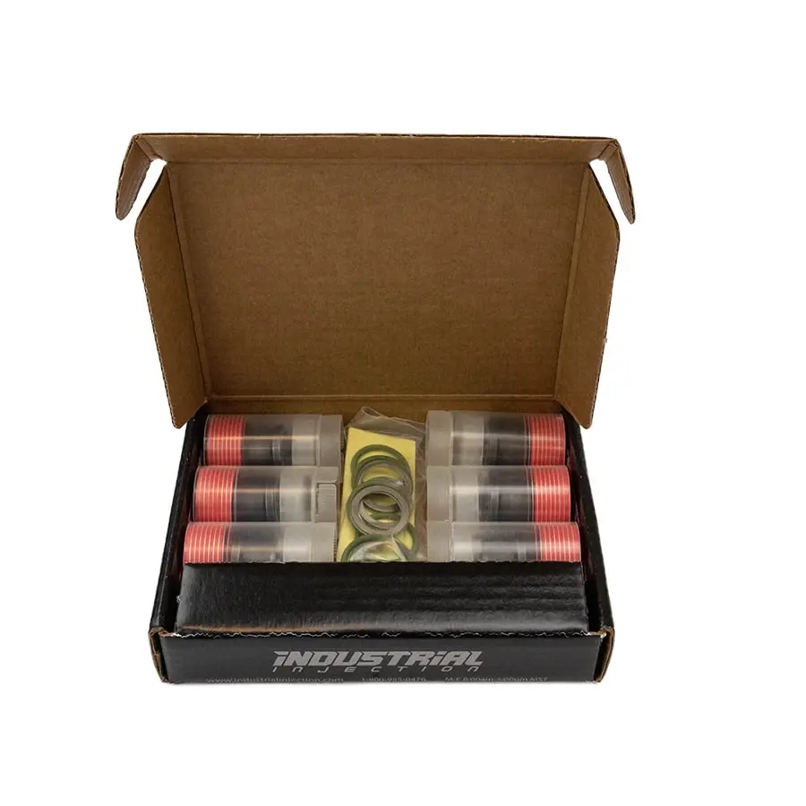 1994-1998 Cummins Laser Cut Delivery Valves Kit (232606) 1