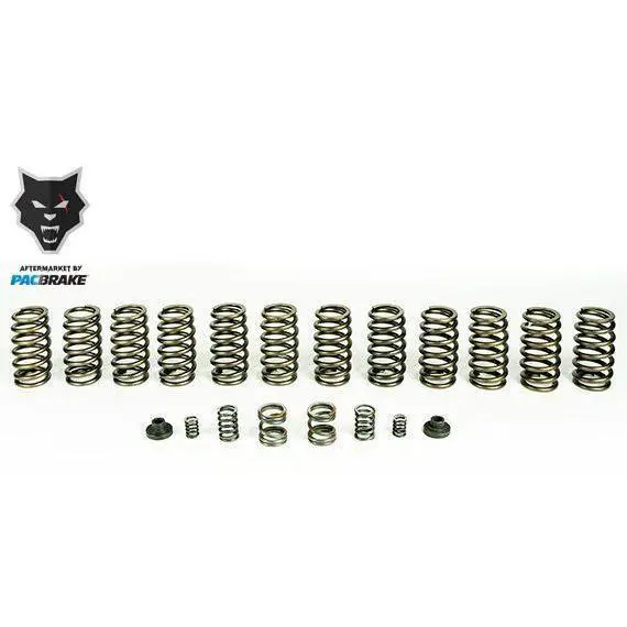 1994-1998 Cummins Valve & Governor Spring Kit W/ 12 Springs (Hp10245) 1