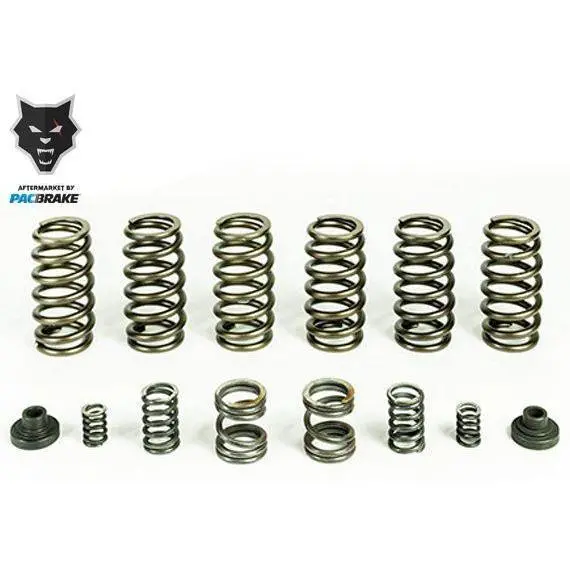 1994-1998 Cummins Valve & Governor Spring Kit W/ 6 Valve Springs (Hp10246) 1