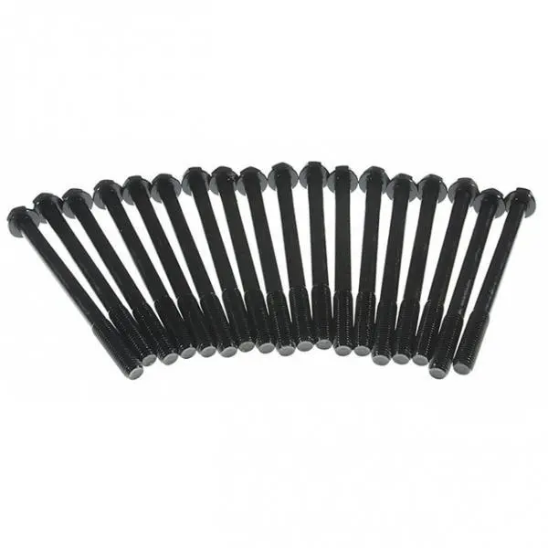 1994-2003 Powerstroke Head Bolts (Gs33379) 1
