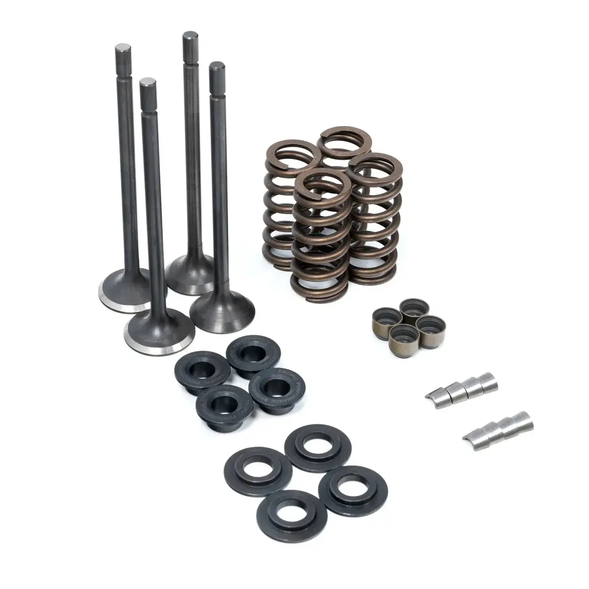 2001-2016 Duramax Valve & Spring Kit (110090080) 1