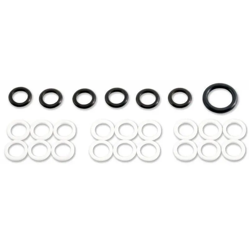 2004-2010 Navistar High-Pressure Oil Rail Seal Kit (Ap0025) 1