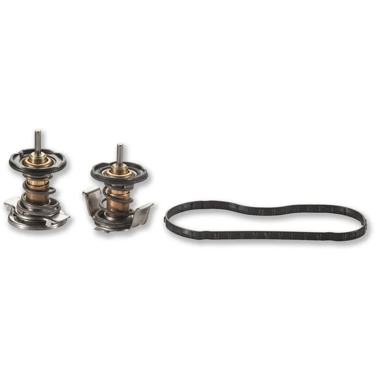2008-2010 Powerstroke Thermostat Kit (Ap63498) 2