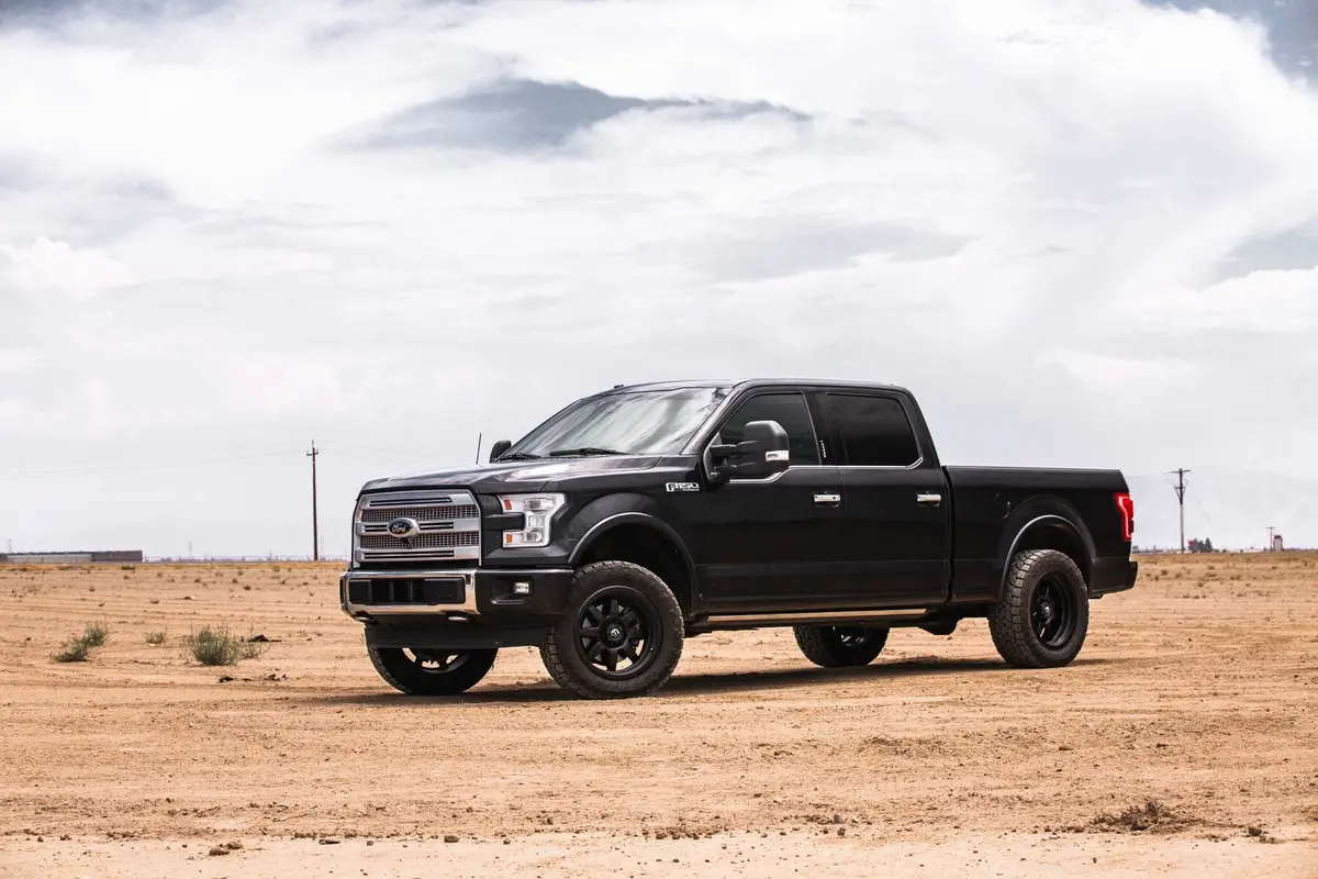 2015-2020 F-150 2.5" Front Standard Leveling Kit (120-91059) 2