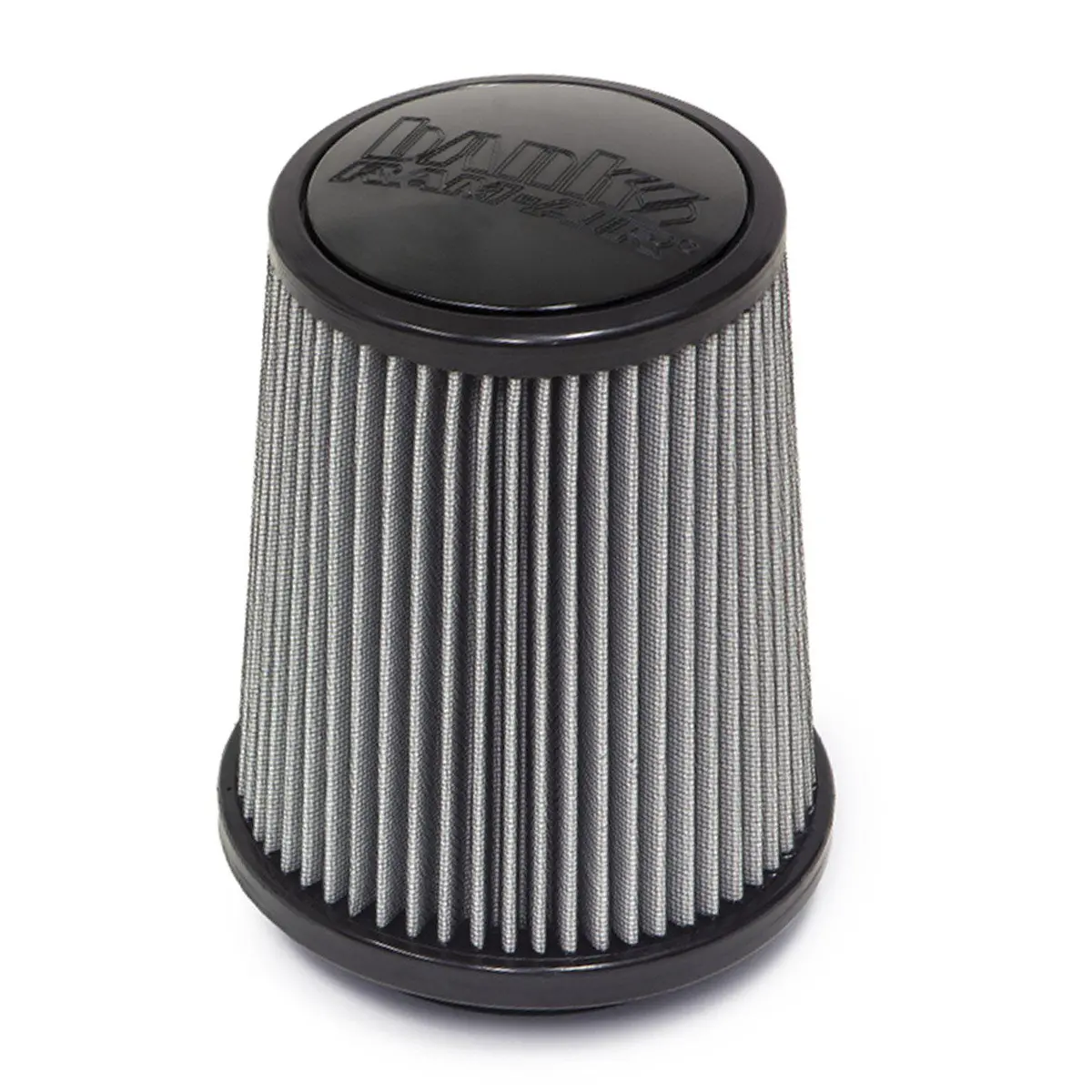 2017-2024 Duramax/ Cummins Ram Air Filter Replacement (42259) 1