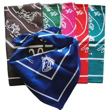 King Ranch Bandana 1