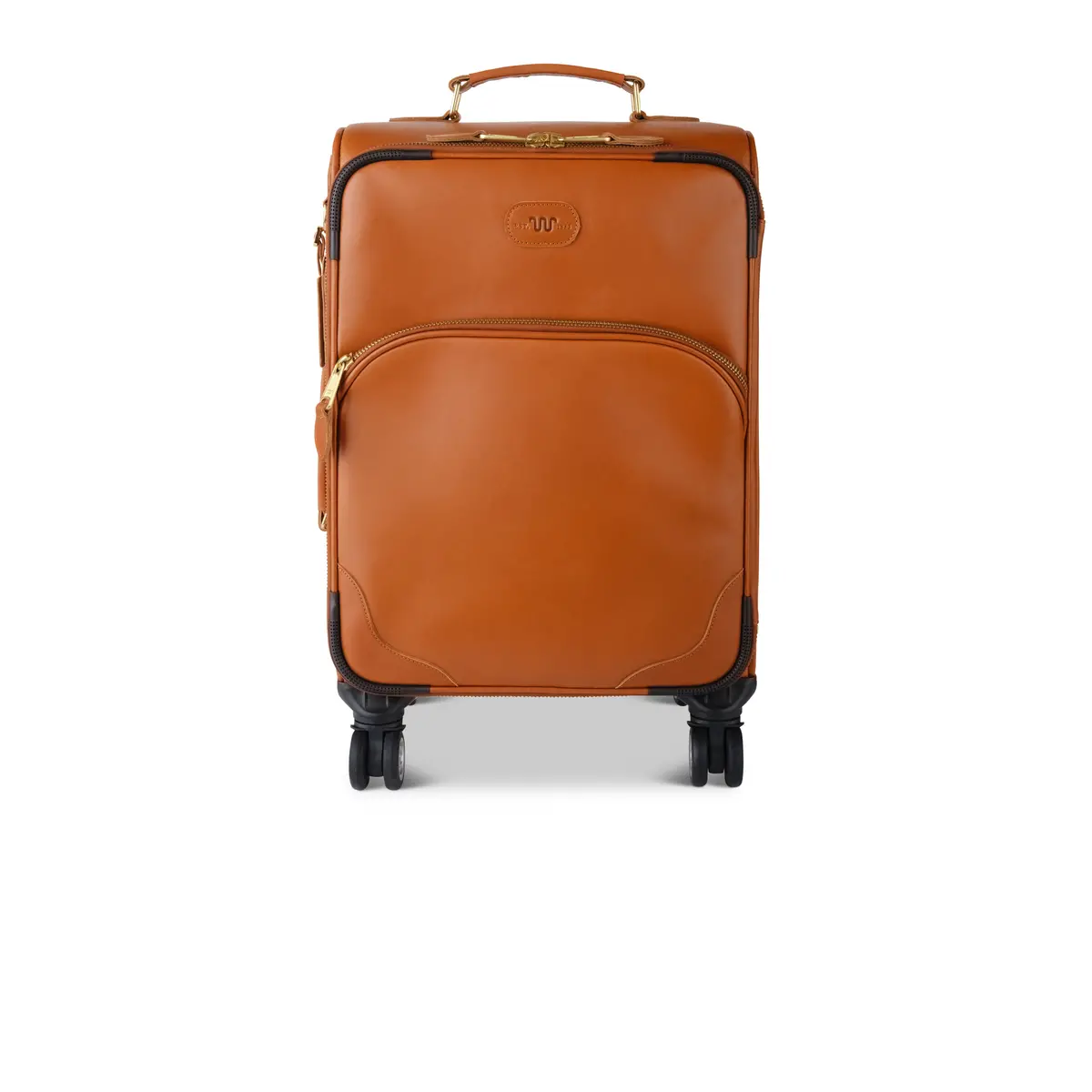 Leather Carry-On Rolling Suitcase 1
