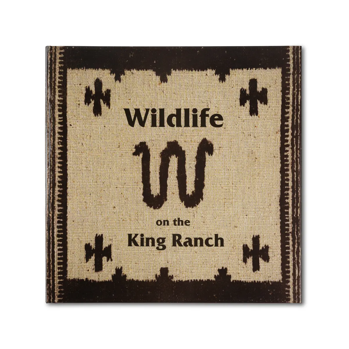 Wildlife On King Ranch 2
