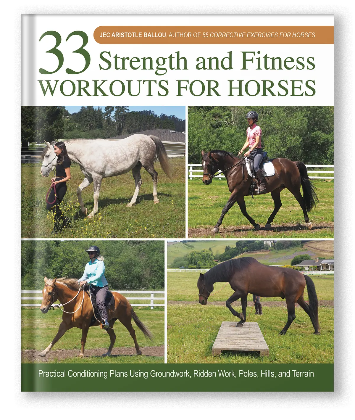 33 Strength And Fitness Workouts For Horses 1