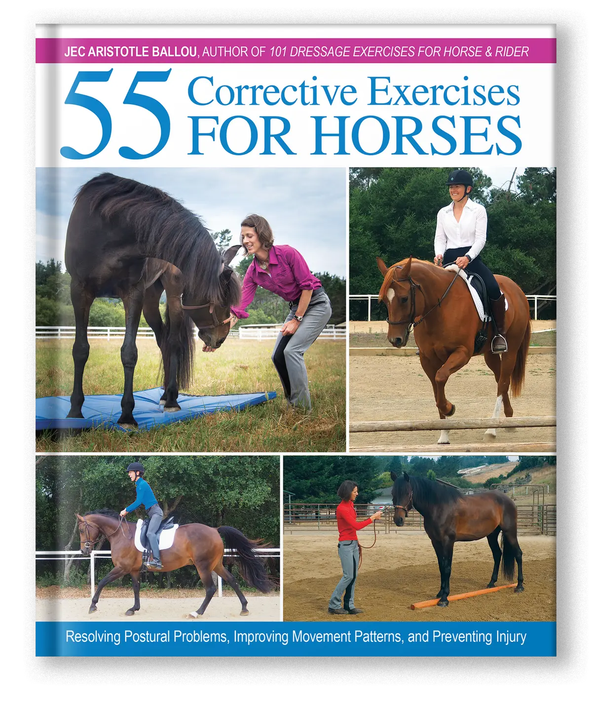 55 Corrective Exercises For Horses 1