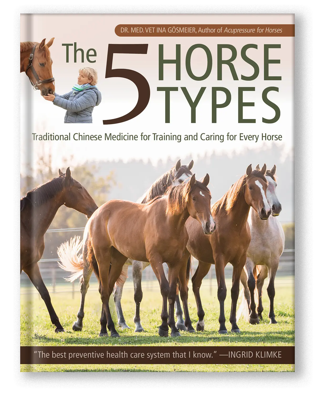 The 5 Horse Types 1