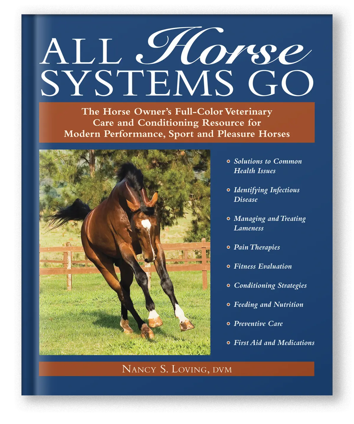 All Horse Systems Go 1