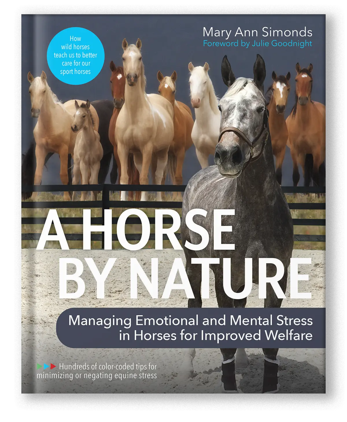 A Horse By Nature 1