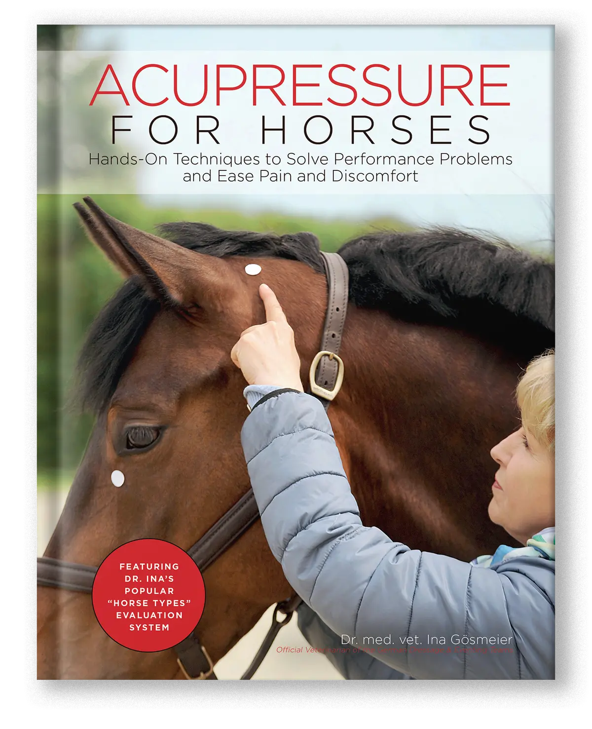 Acupressure For Horses 1