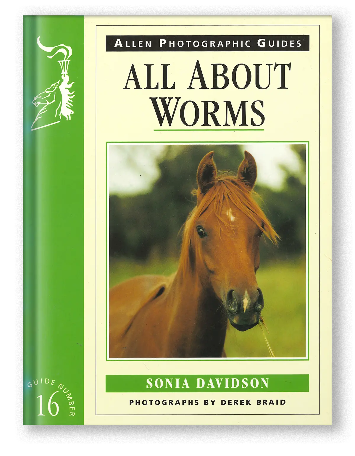 All About Worms 1
