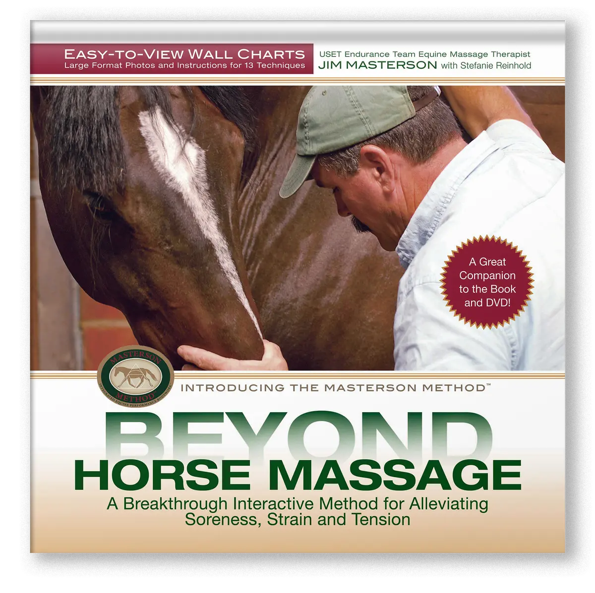 Beyond Horse Massage Wall Chart 1