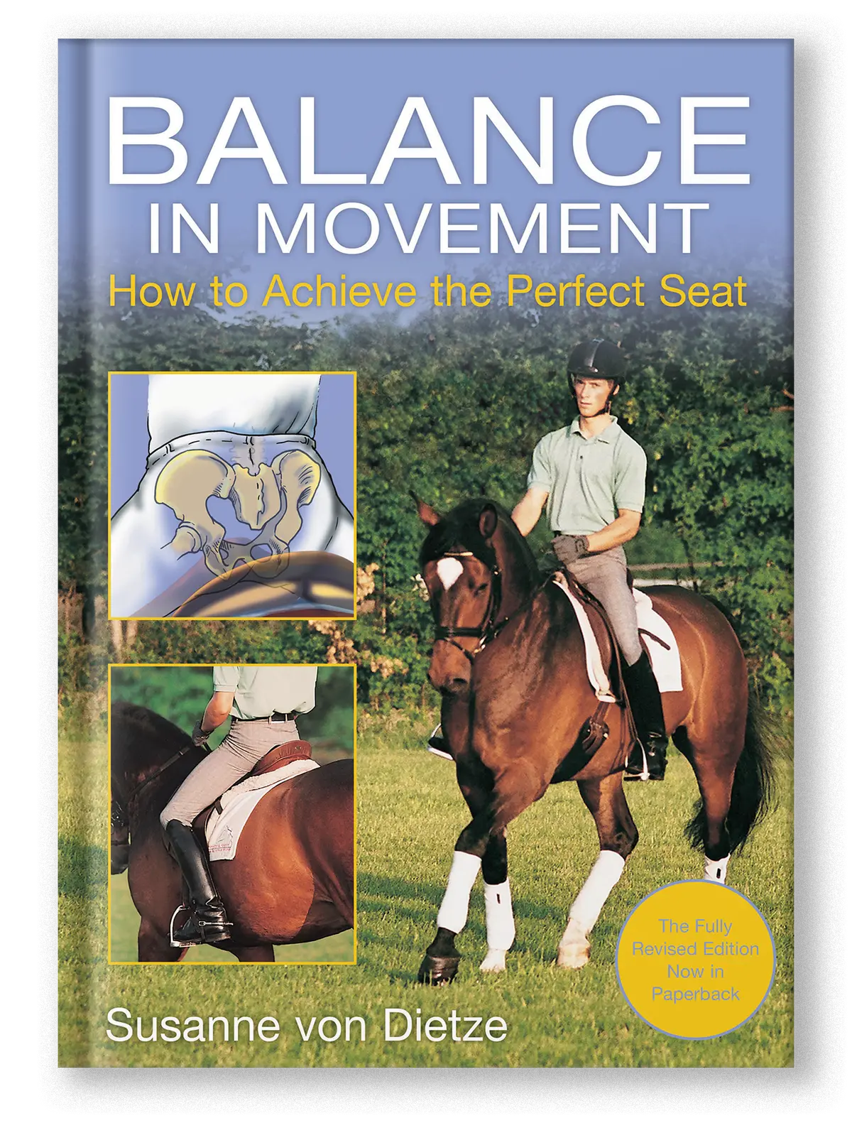 Balance In Movement 1