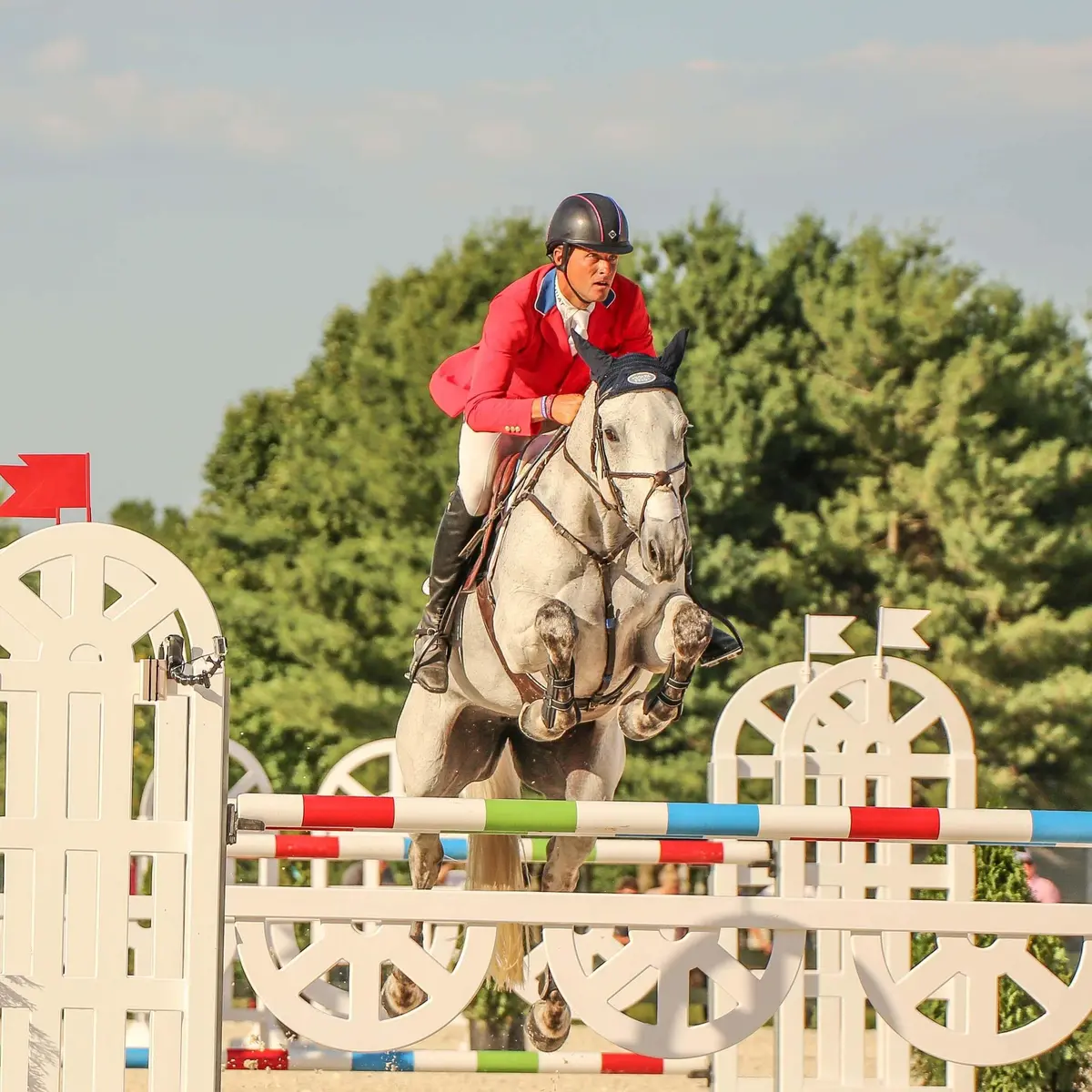 Boyd Martin Stadium Hind Jump Boot With Arti-Lage Technology 4