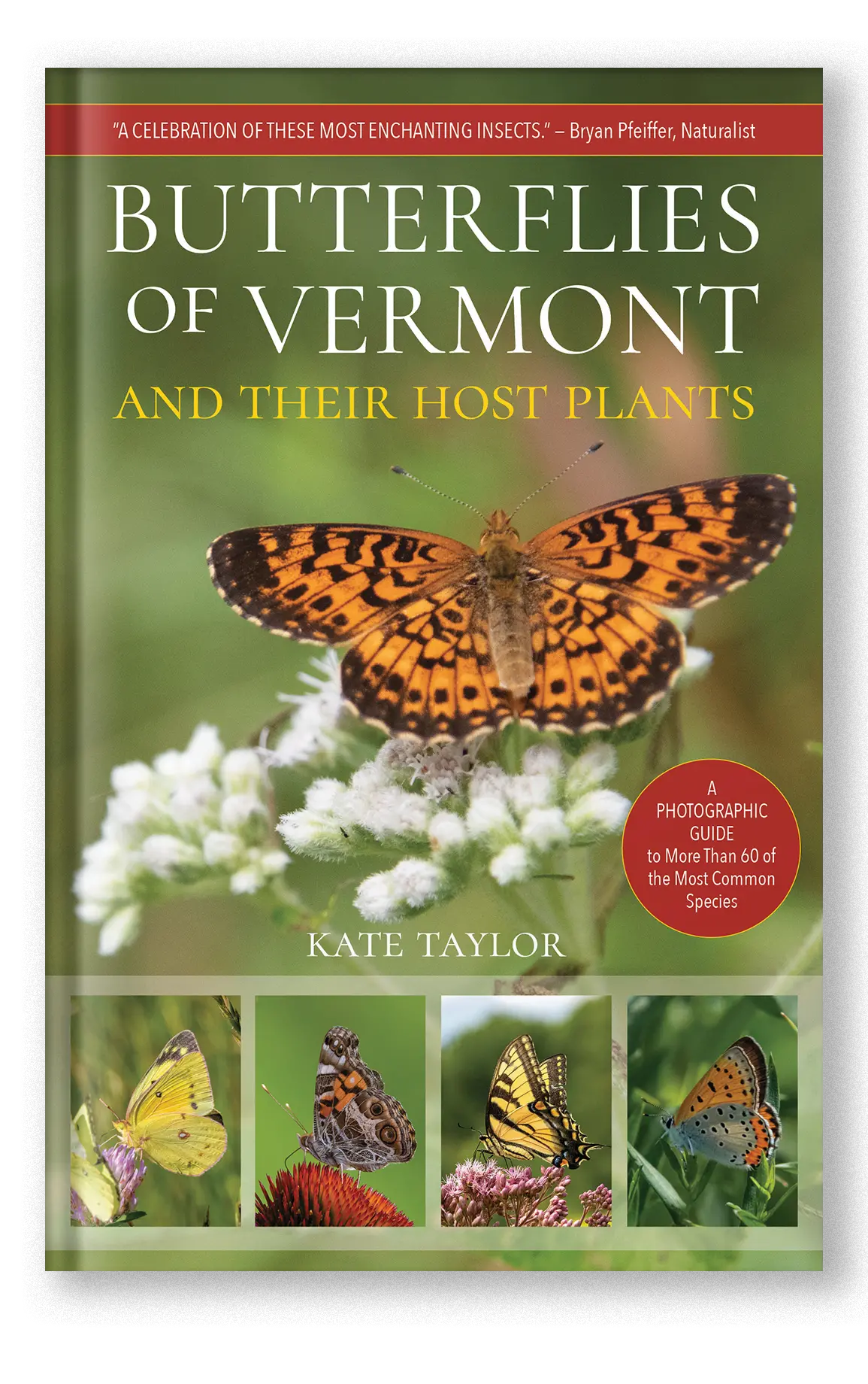 Butterflies Of Vermont 1