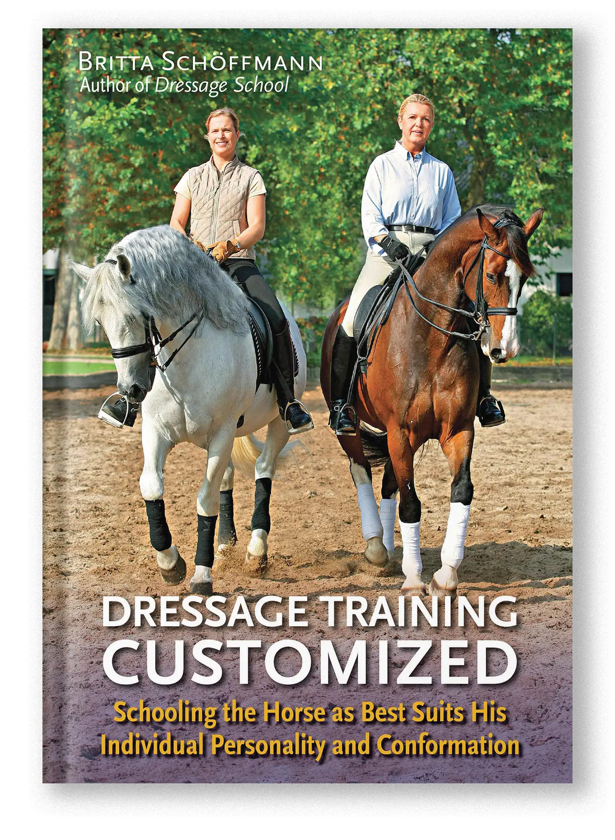 Dressage Training Customized 1