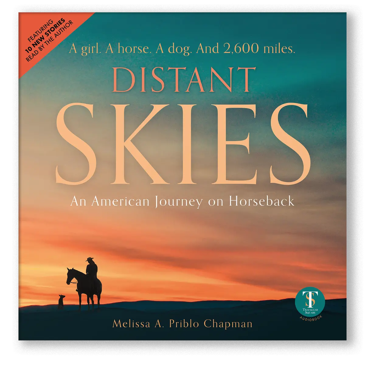 Distant Skies (Audiobook) 1