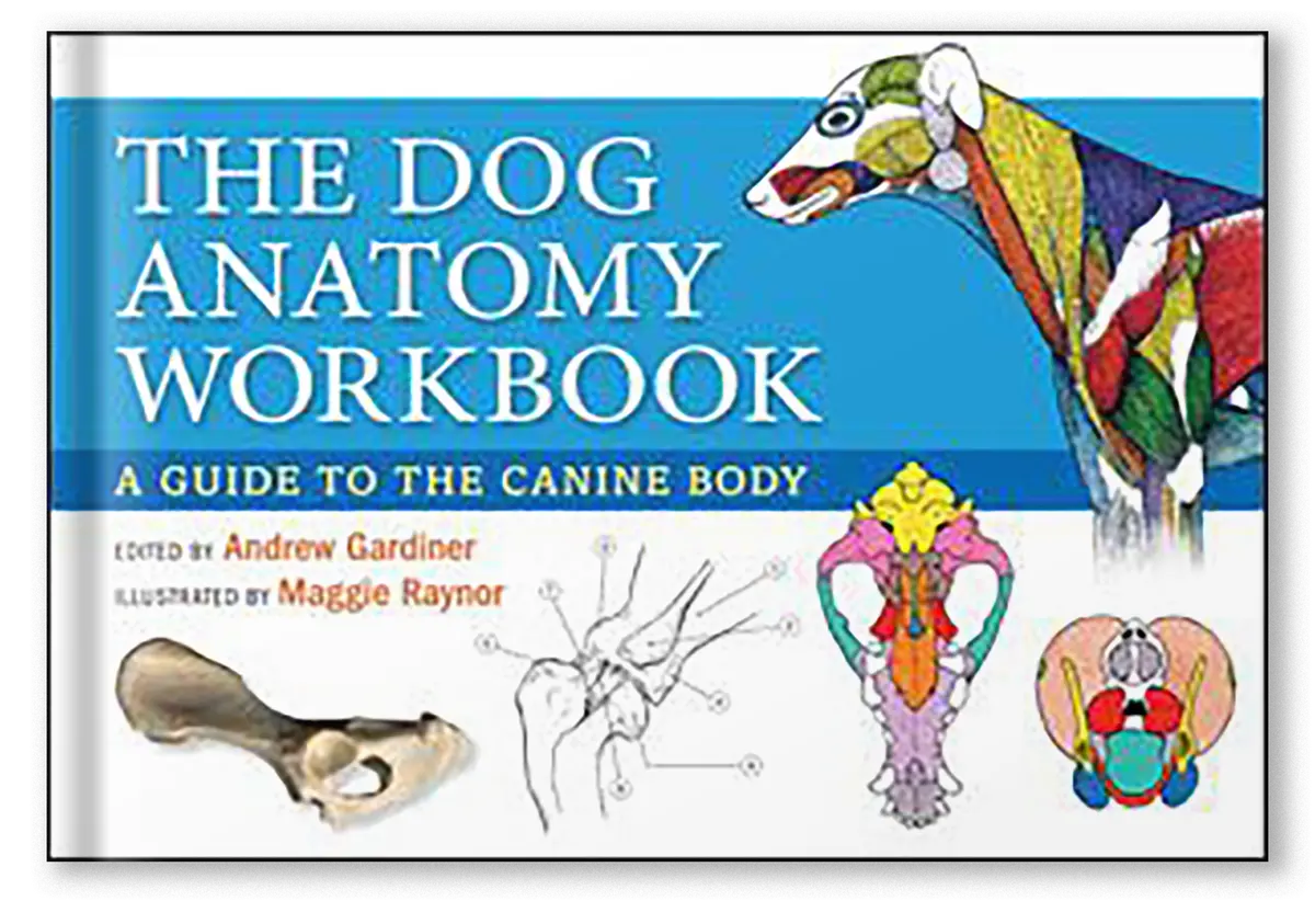 Dog Anatomy Workbook 1