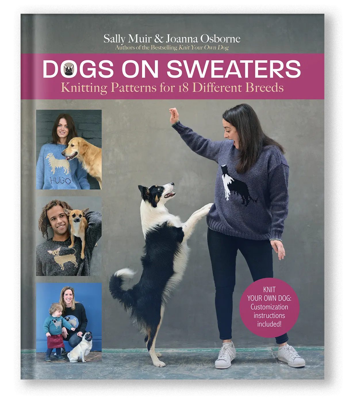 Dogs On Sweaters 1