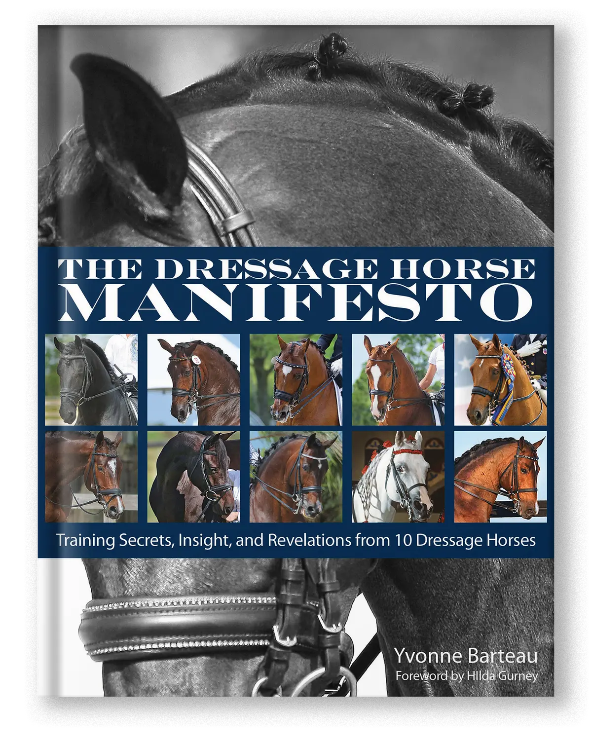 The Dressage Horse Manifesto 1
