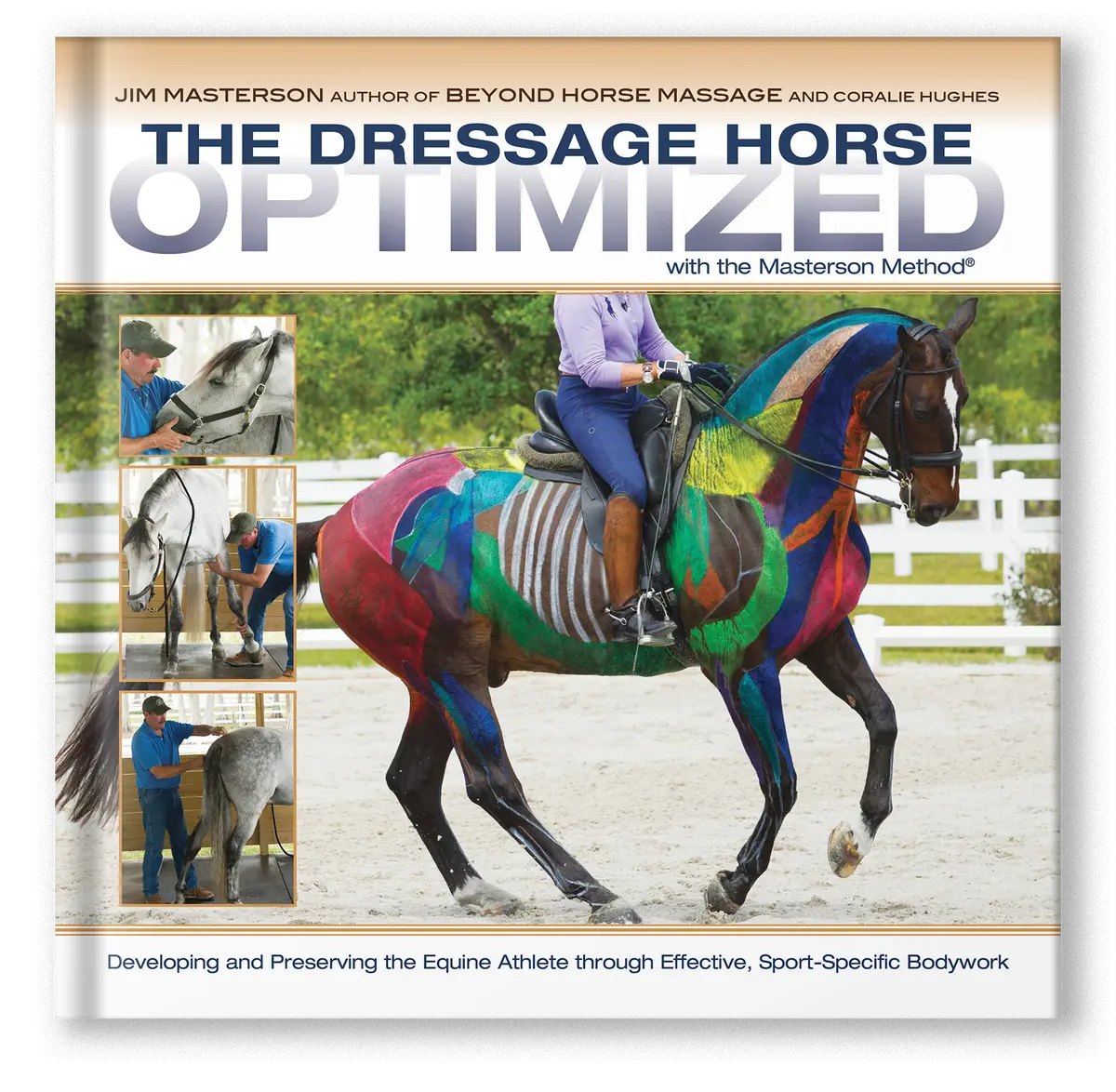 Dressage Horse Optimized 1