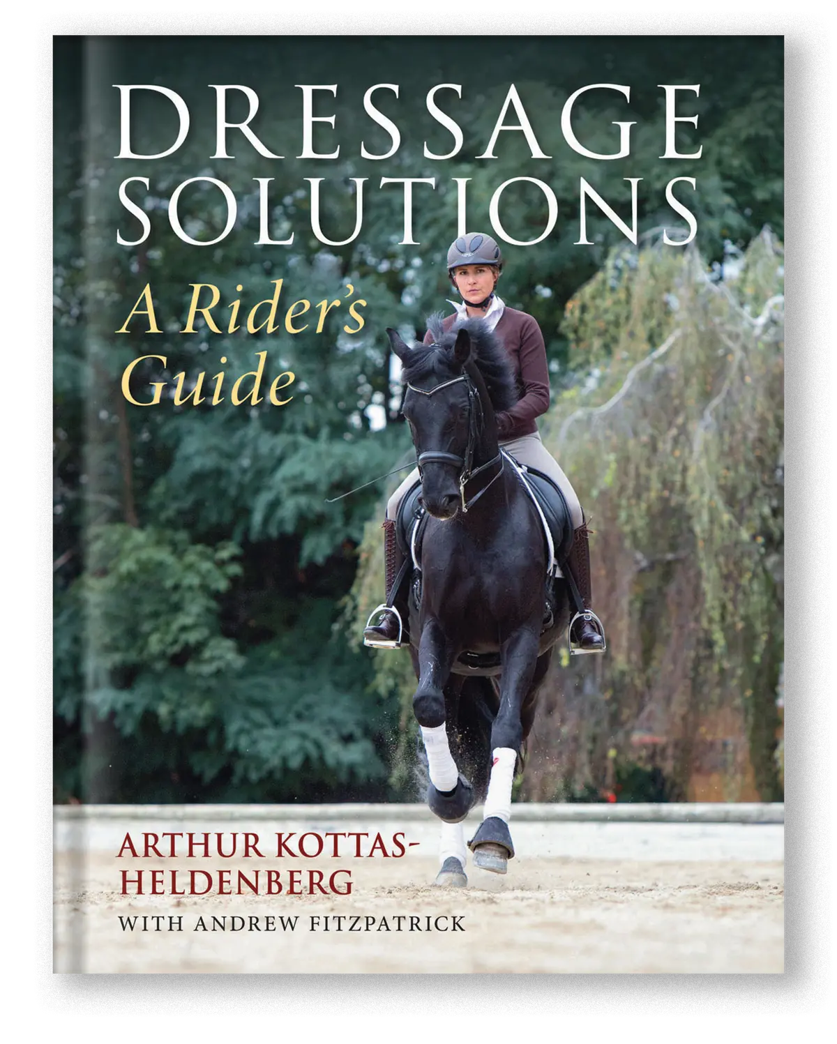 Dressage Solutions 1