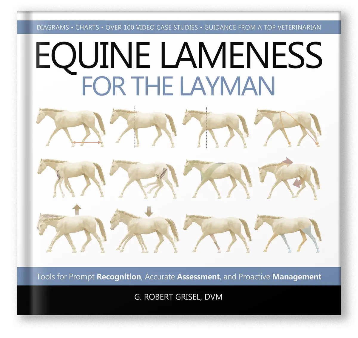 Equine Lameness For The Layman 1