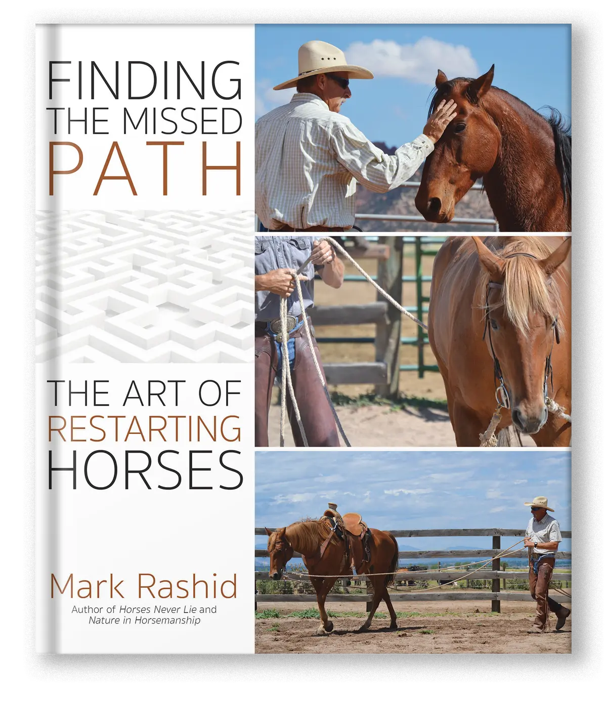 Finding The Missed Path 1