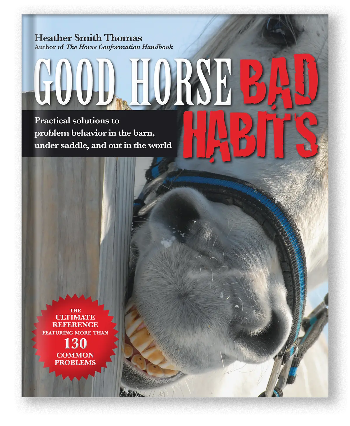 Good Horse, Bad Habits 1