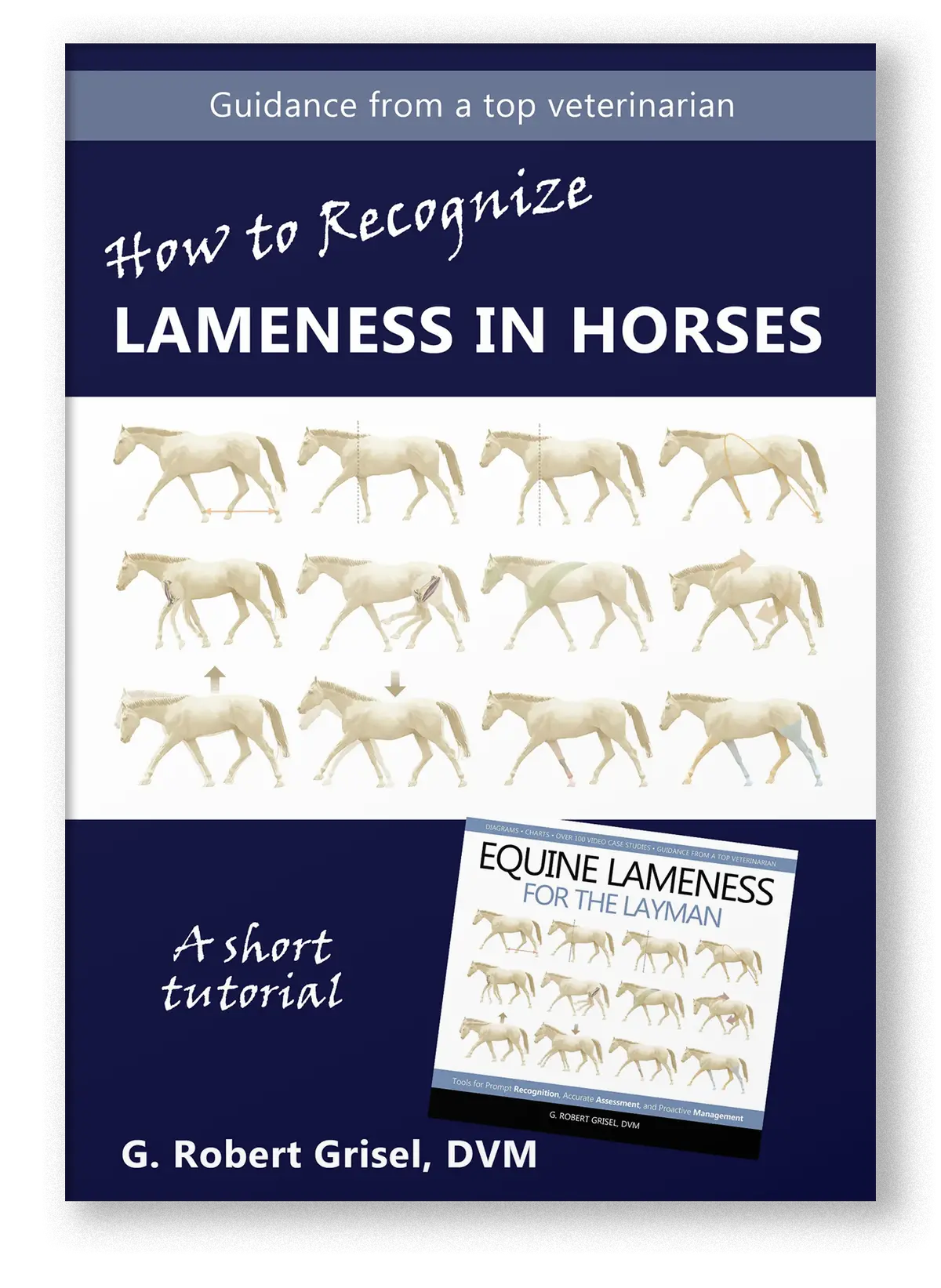 How To Recognize Lameness In Horses (Streaming Video) 1