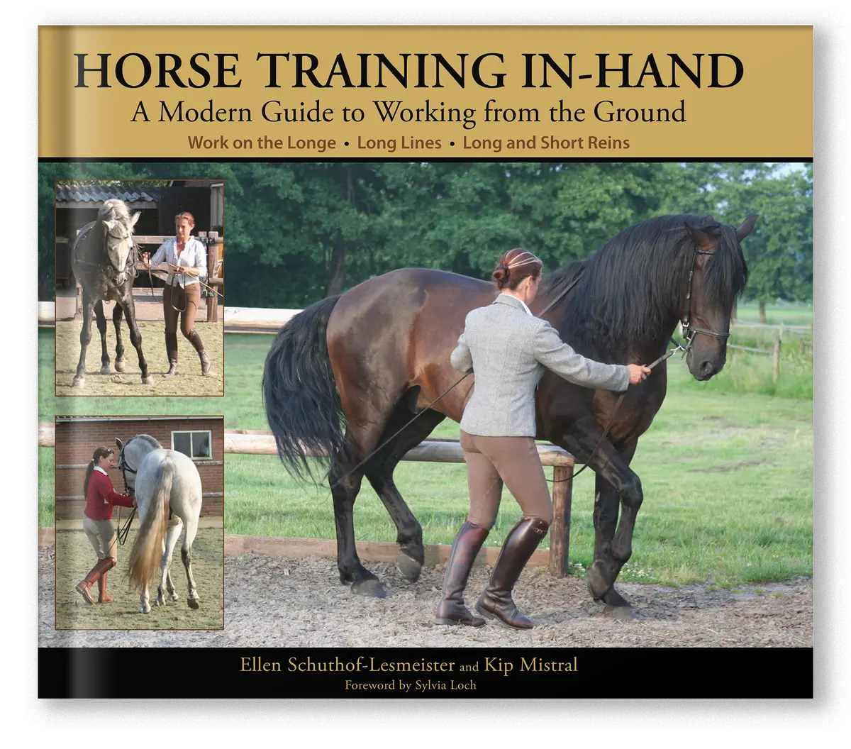 Horse Training In-Hand 1