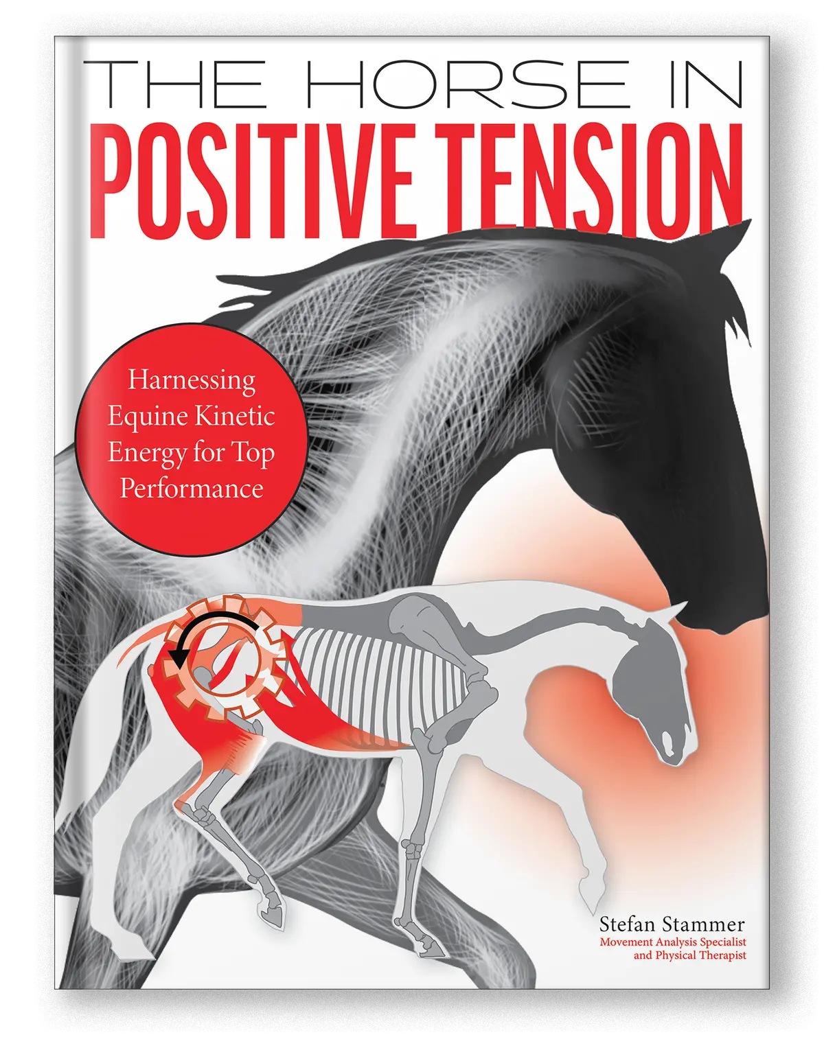 The Horse In Positive Tension 1