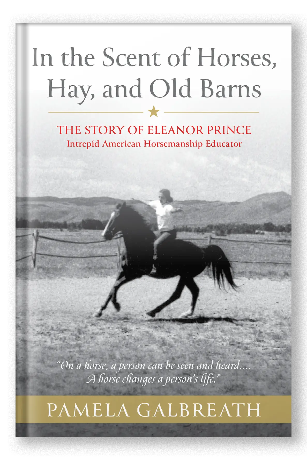In The Scent Of Horses, Hay And Old Barns 1
