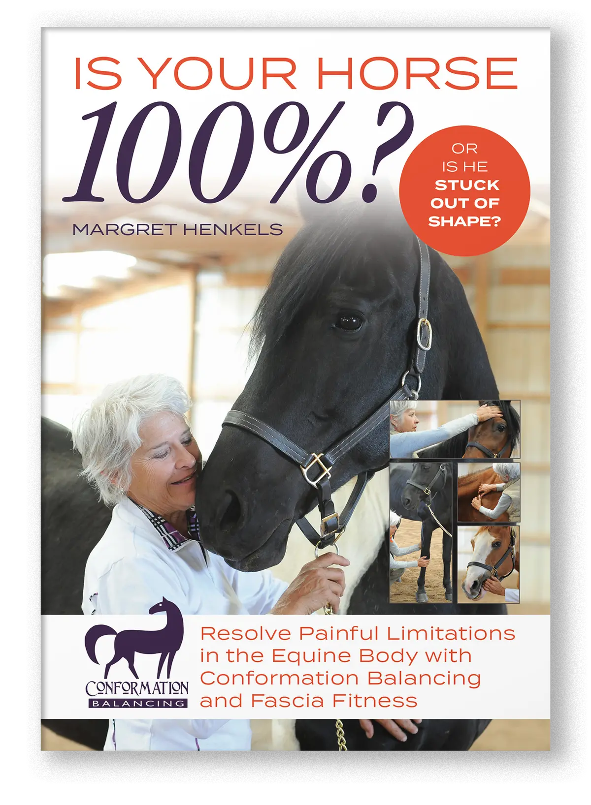 Is Your Horse 100% (Dvd Or Streaming Video) 1