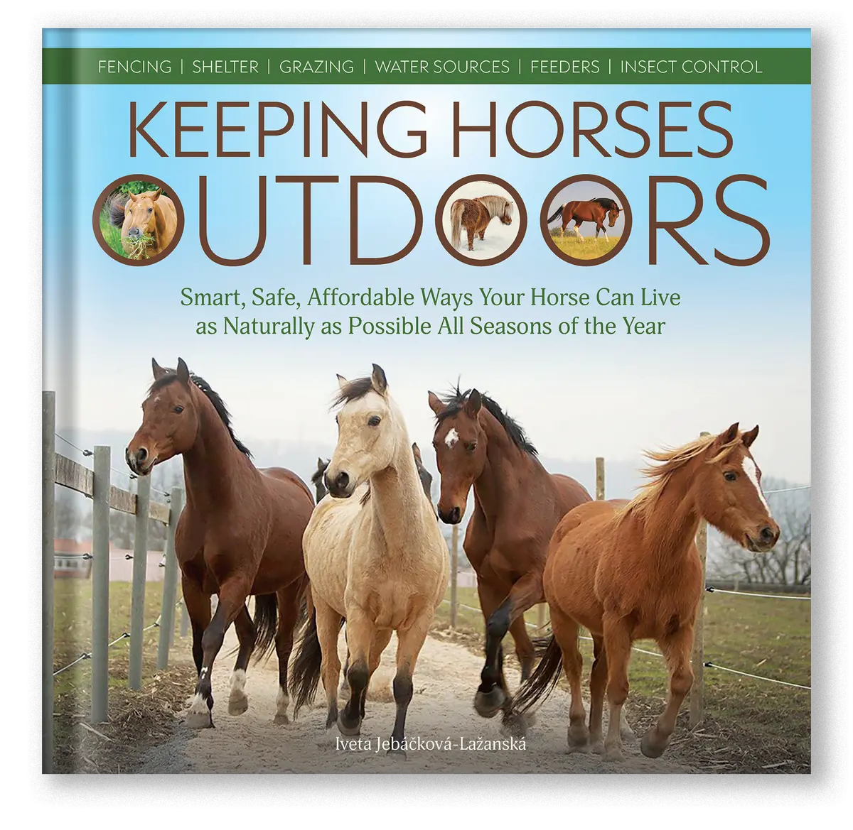 Keeping Horses Outdoors 1