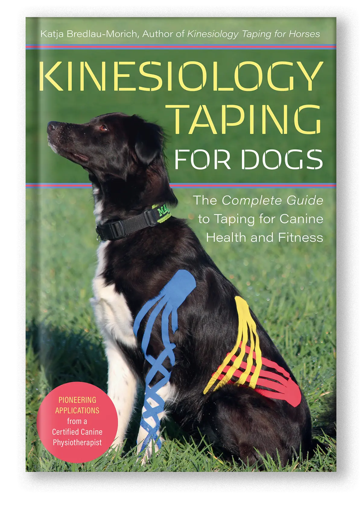 Kinesiology Taping For Dogs 1