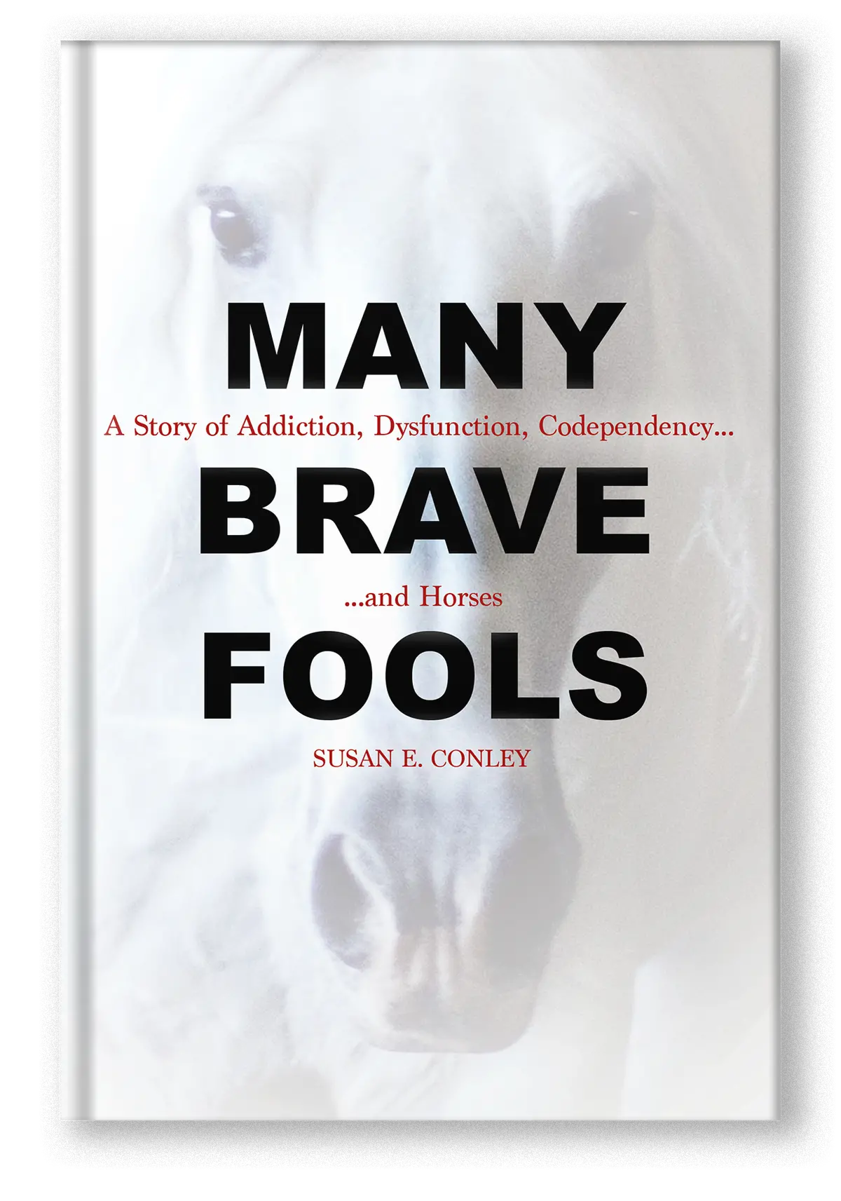 Many Brave Fools 1