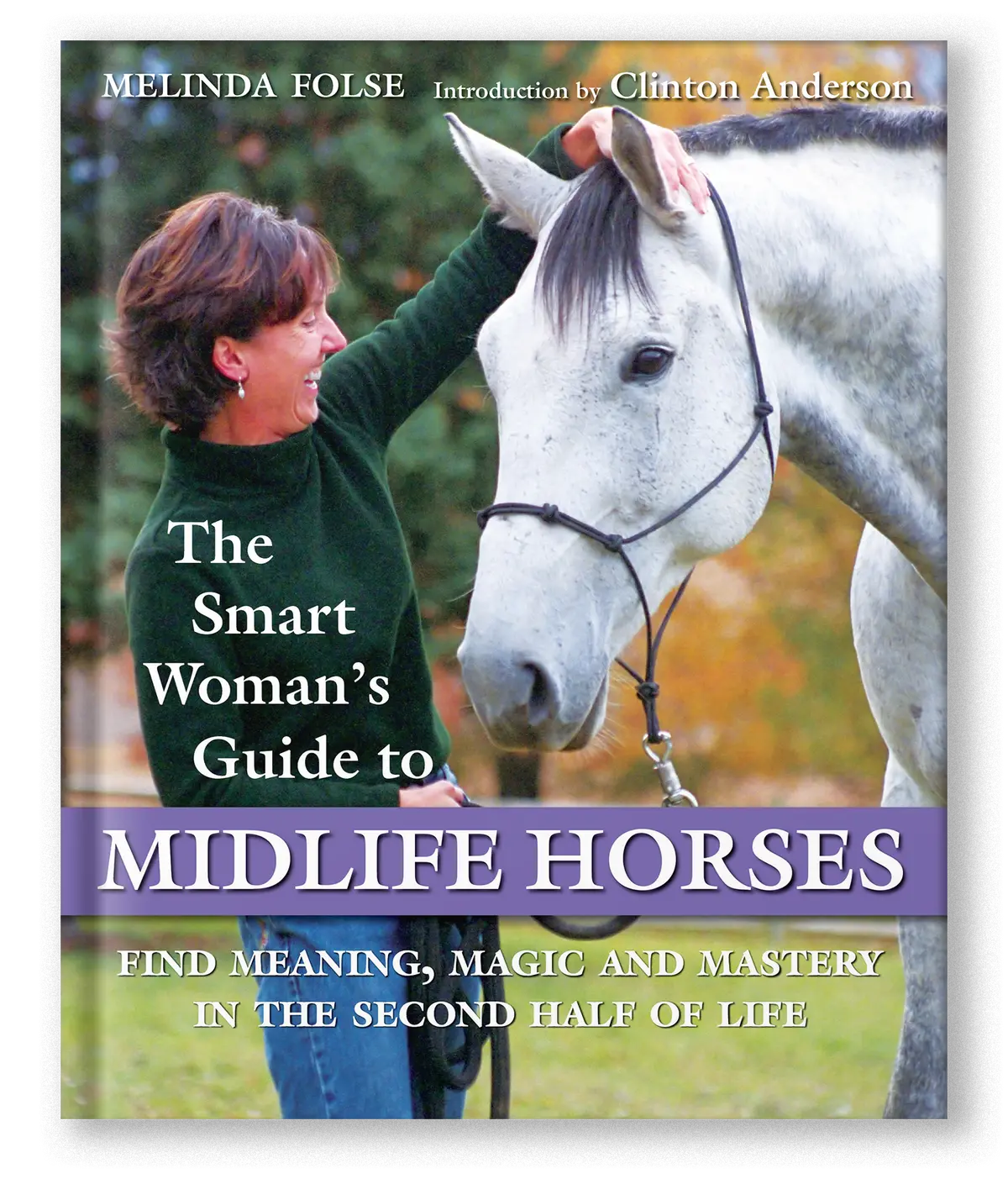 The Smart Woman's Guide To Midlife Horses 1