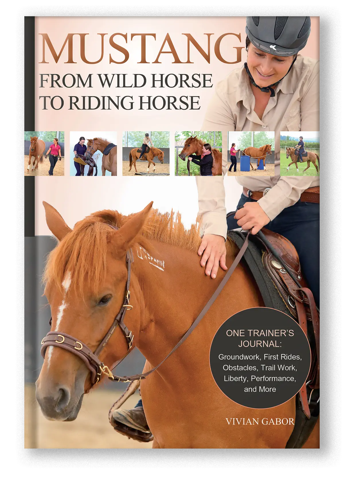 Mustang: From Wild Horse To Riding Horse 1