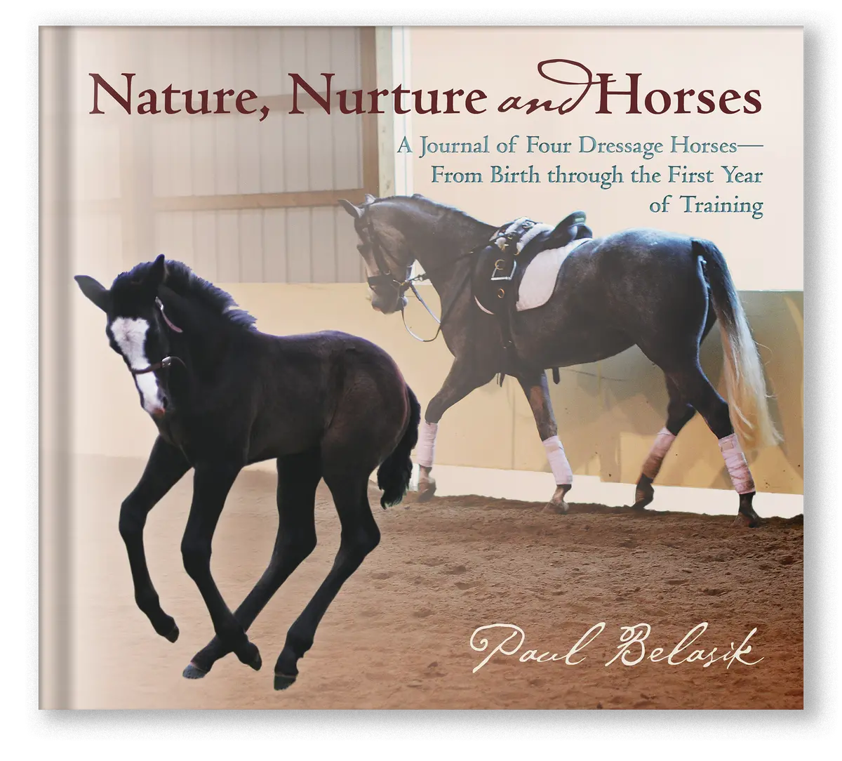 Nature, Nurture And Horses 1