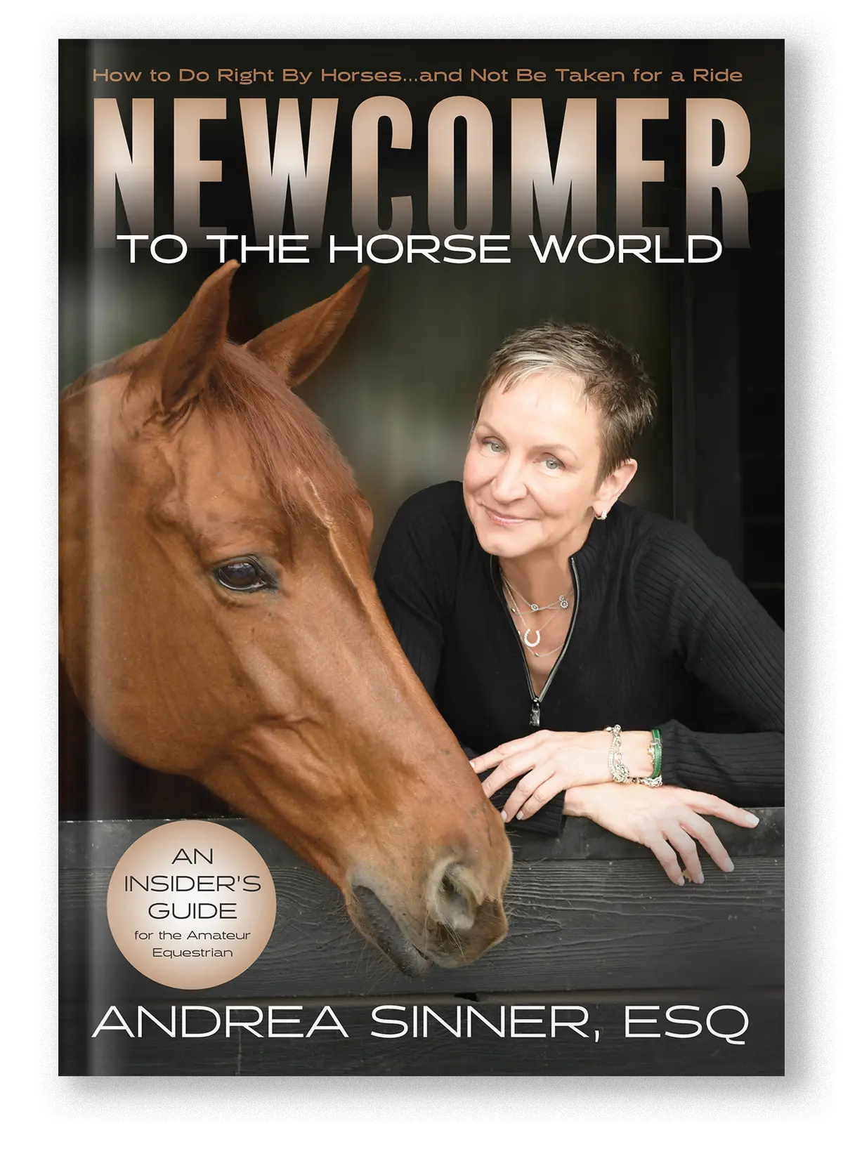 Newcomer To The Horse World 1