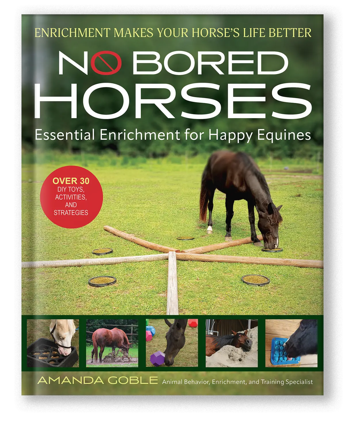 No Bored Horses 1