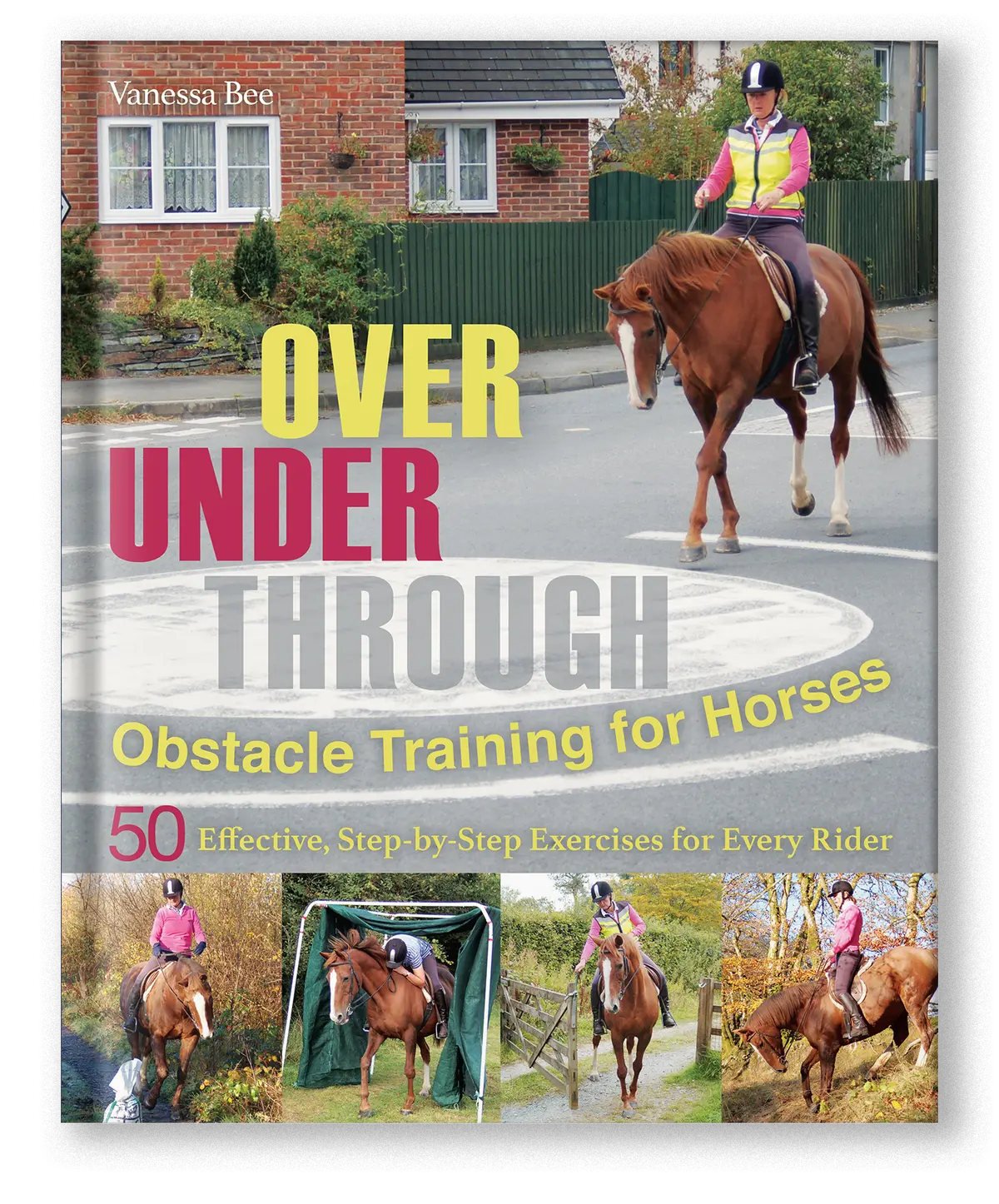 Over, Under, Through: Obstacle Training For Horses 1