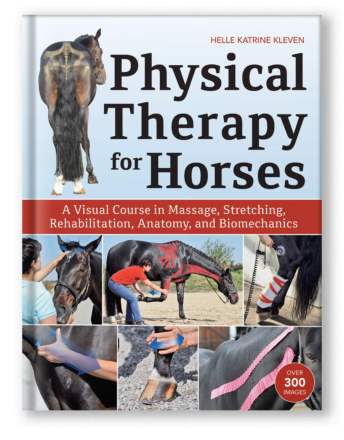 Physical Therapy For Horses 1